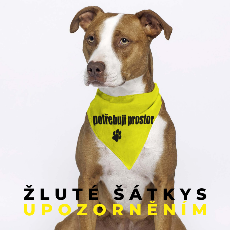 zluty_satek