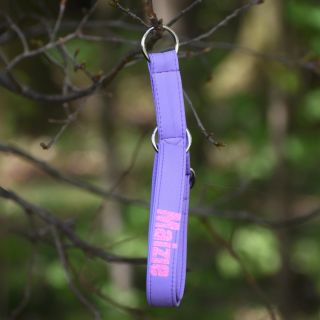 Fialovou jste si velmi oblíbili 😍 sluší fenečkám a i psím štramákům😎 #czechdogs #zabawkadlapsa #dogoftheday #agilitydogs...