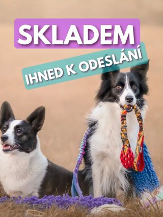 Na e-shopu nově naleznete hračky a agility vodítka skladem. 😍 #motivacnihracky #motivacnihrackypropsy #agilitydogs...